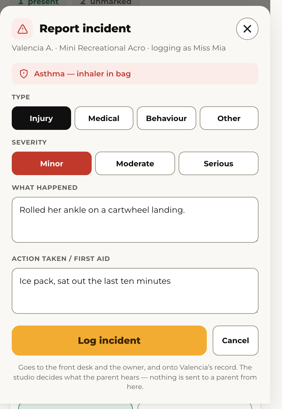 Report incident: type, how serious, what happened, what you did.